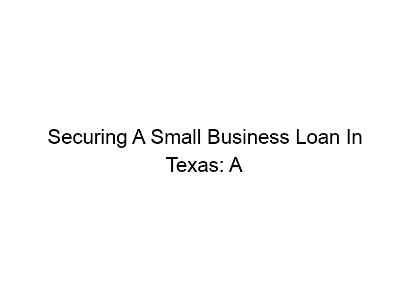 securing a small business loan in texas a comprehensive guide 329